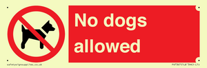 No dogs allowed